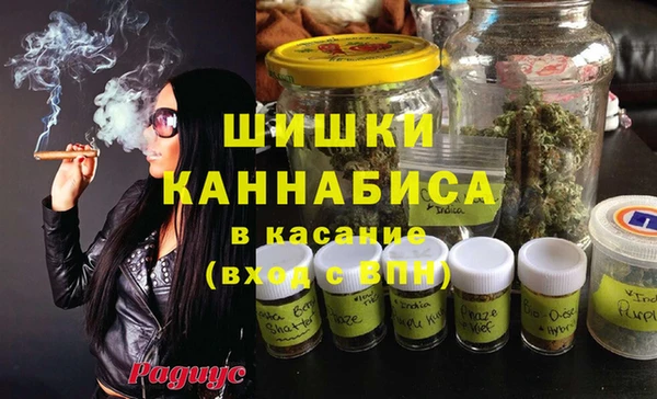 гидропоника Горняк