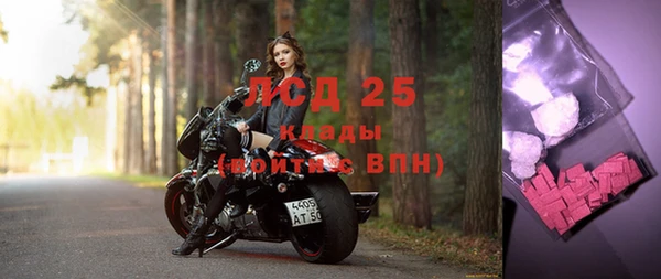 гидропоника Горняк