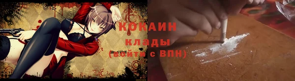 гидропоника Горняк