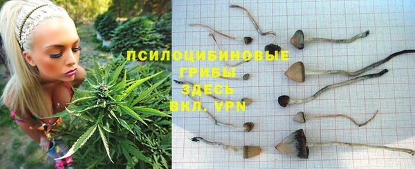 гидропоника Горняк