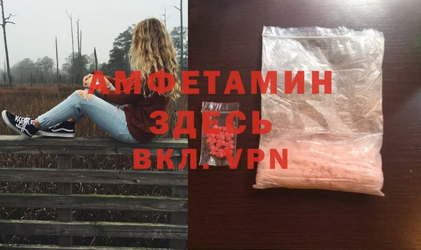 сатива Горнозаводск