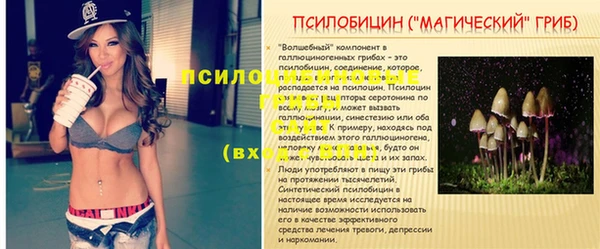 гидропоника Горняк