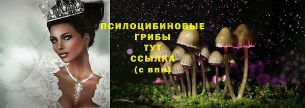 гидропоника Горняк