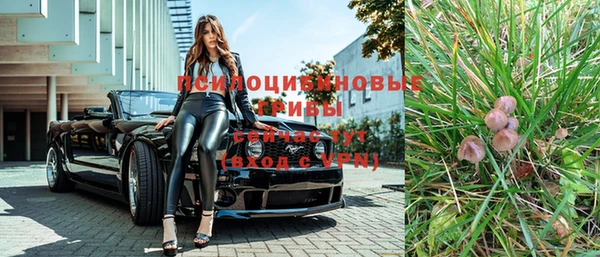 гидропоника Горняк