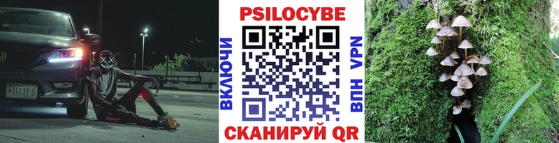 дарк нет наркотические препараты  Осинники  Псилоцибиновые грибы MAGIC MUSHROOMS 