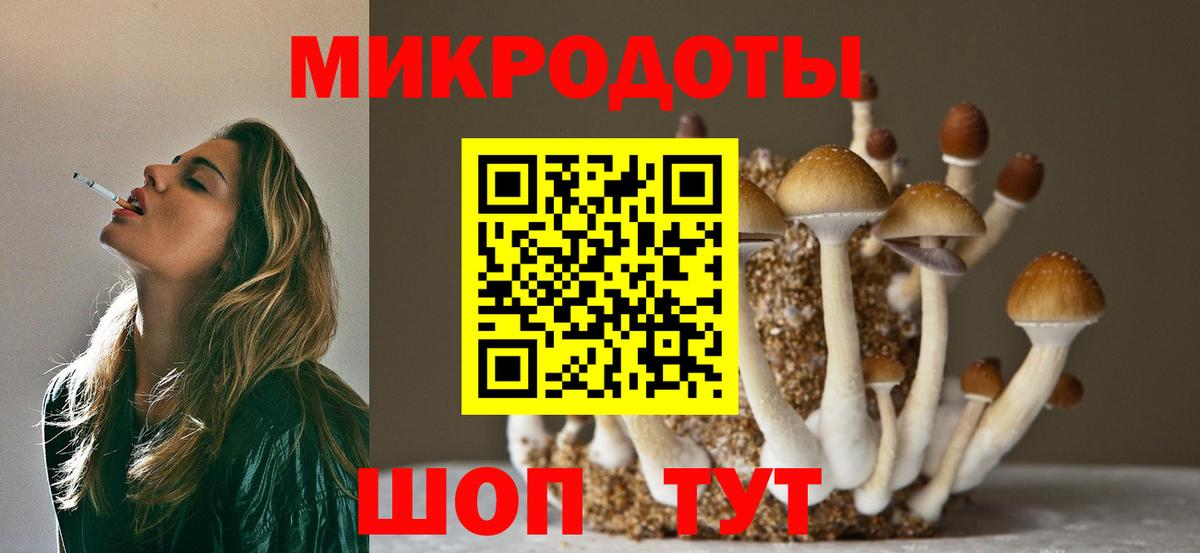 Галлюциногенные грибы Psilocybe  Вход с VPN  сколько стоит  Осинники 
