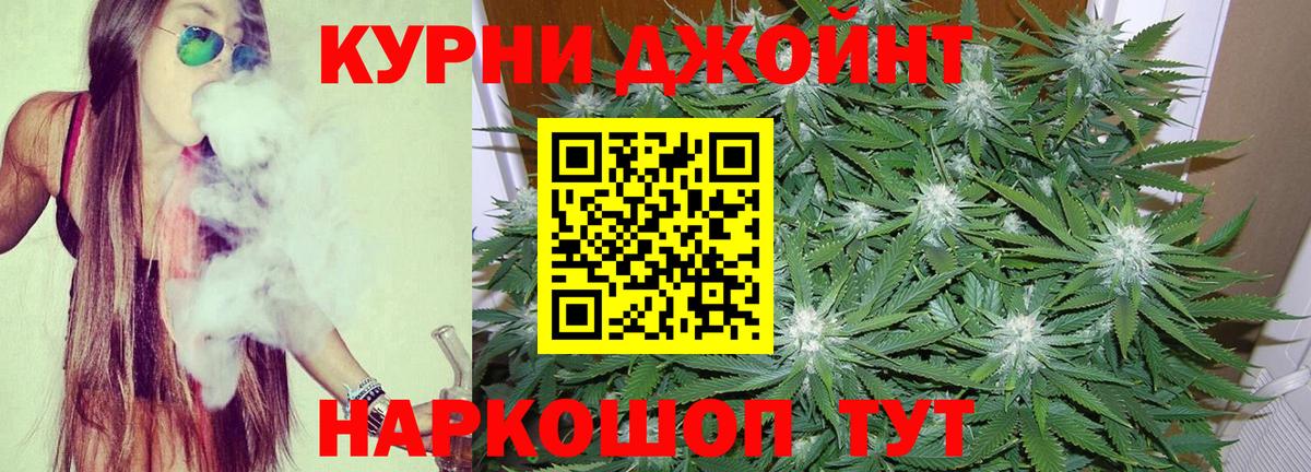 Бошки Шишки гибрид  Вход с VPN  Осинники  Канабис White Widow  Конопля индика  Марихуана тримм 